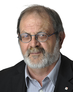 Hansruedi Elmer