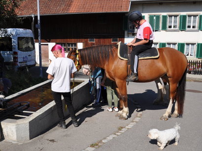 Stiftung Lerchenhof Homburg Spenden